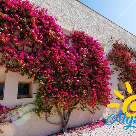 Lägenhet Convento Bernardas